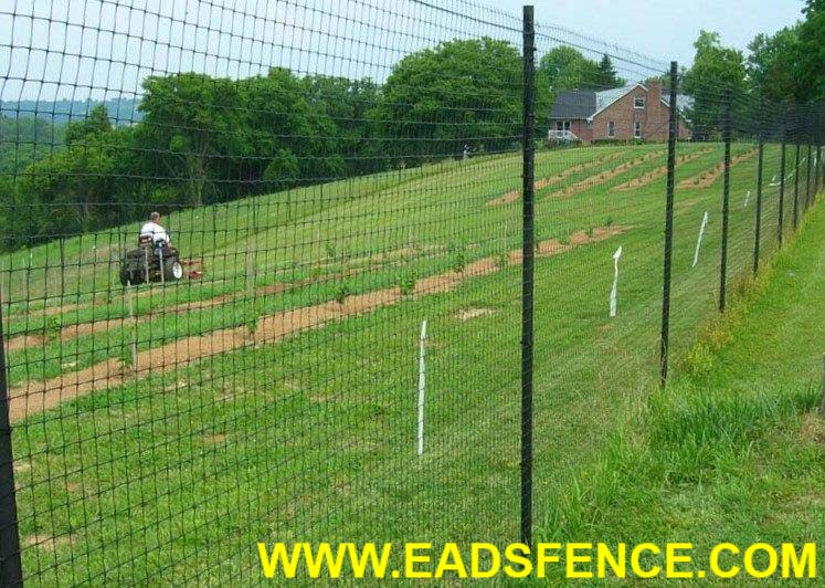 deer fence