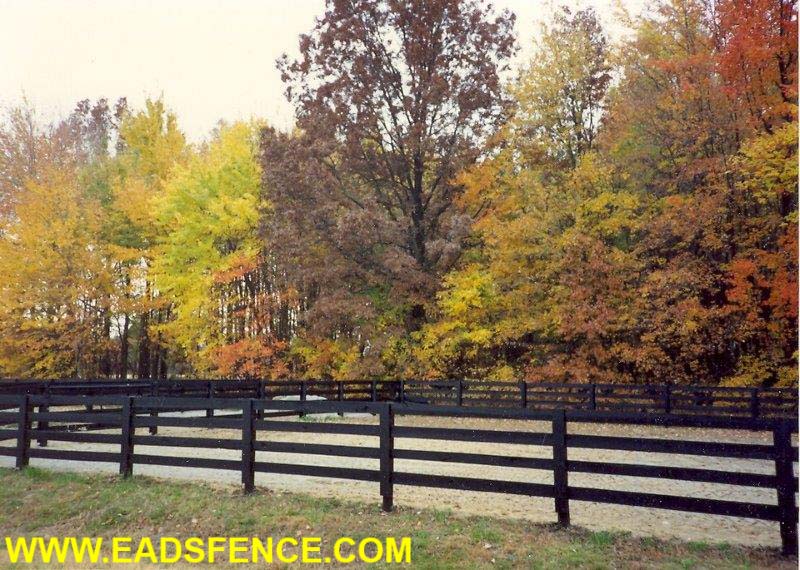 Painted 4 Rail Kentucky Board Fence