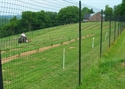 Picture for category Deer Fences