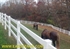 Picture of Farm Fences Photo Gallery
