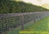 Picture of 1 Rail Board Fence Photo Gallery