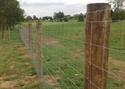 Picture for category Wire Fence Photo Galleries