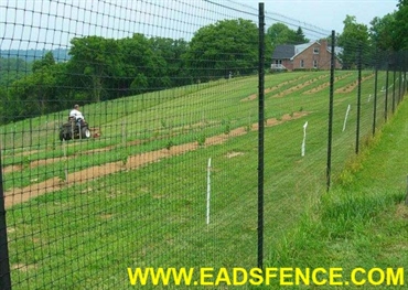 Picture of Deer Fence Photo Gallery