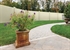 Picture of Dogwood  ActiveYards Materials